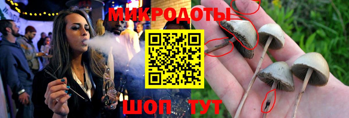 Галлюциногенные грибы Psilocybine cubensis  Вход с VPN  Надым 
